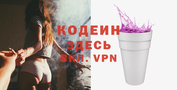 молекула духа Бердск