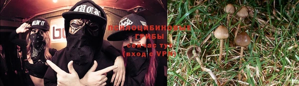 не бодяженный Михайлов