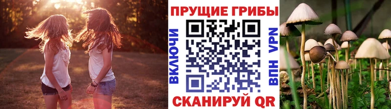 blacksprut как войти Палласовка Псилоцибиновые грибы Magic Shrooms
